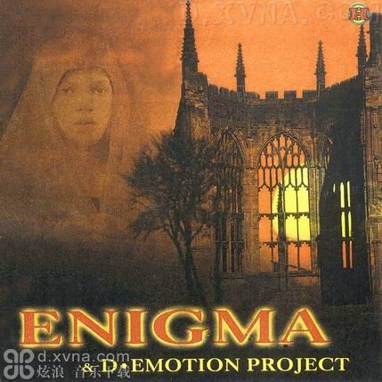 enigma(歌手)_技点百科
