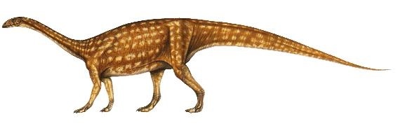 云南龙 (非生物)