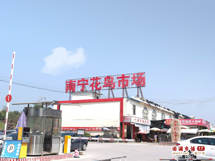 南宁花鸟市场(地点)_技点百科_技点网(地点)