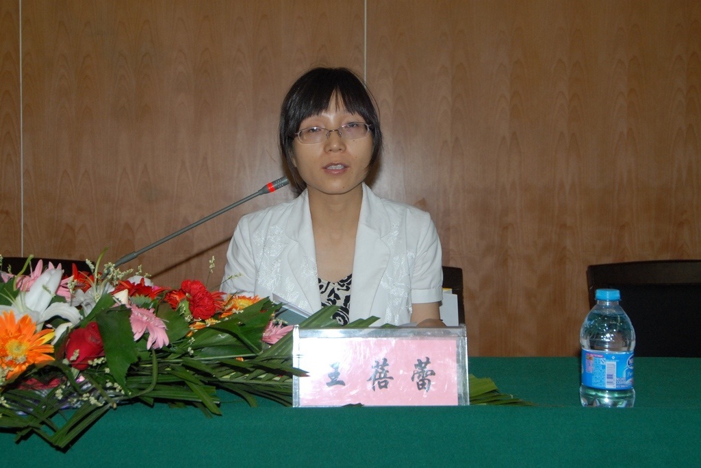 王蓓蕾(其他人物相关)