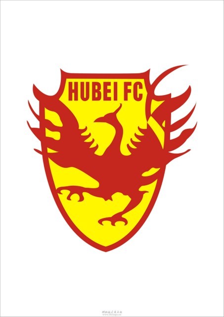 湖北绿茵足球俱乐部(其他组织机构相关)