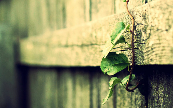 罅隙(汉语词汇)