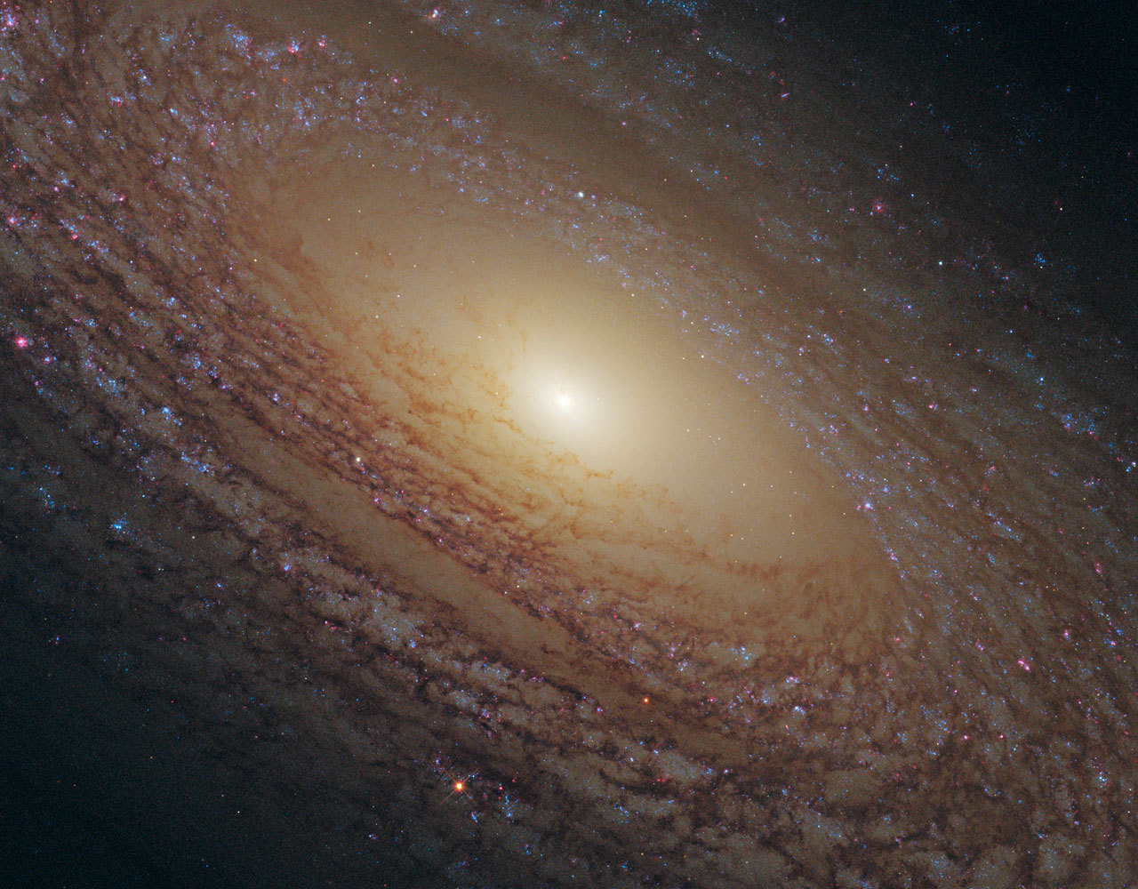 ngc 2841(其他天体相关)