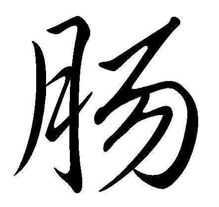 肠 (其他语言相关)