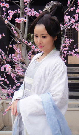 梅影(其他人物相关)梅妃,电视剧《倾世皇妃》人物之一,由林心如饰演.