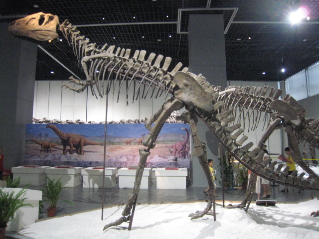 喙嘴龙其他生物喙