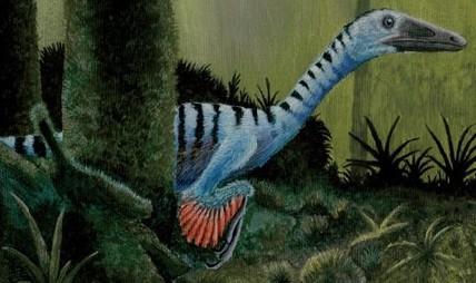 空彩龙(其他生物相关)