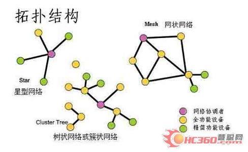 拓扑学数学探秘图片图片