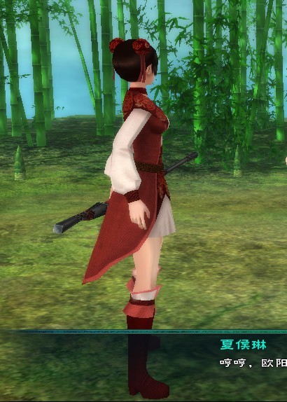 夏侯琳(其他人物相关)