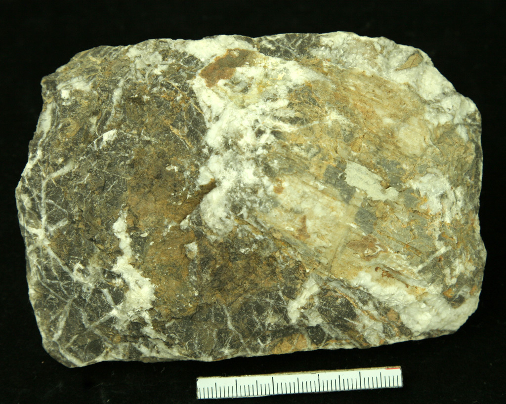 石头｜每天认识一种石头：石灰岩 - 地质科普 - 河北地矿建设工程集团有限责任公司