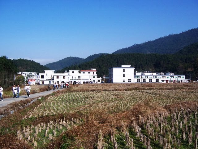 坪田村行政区划