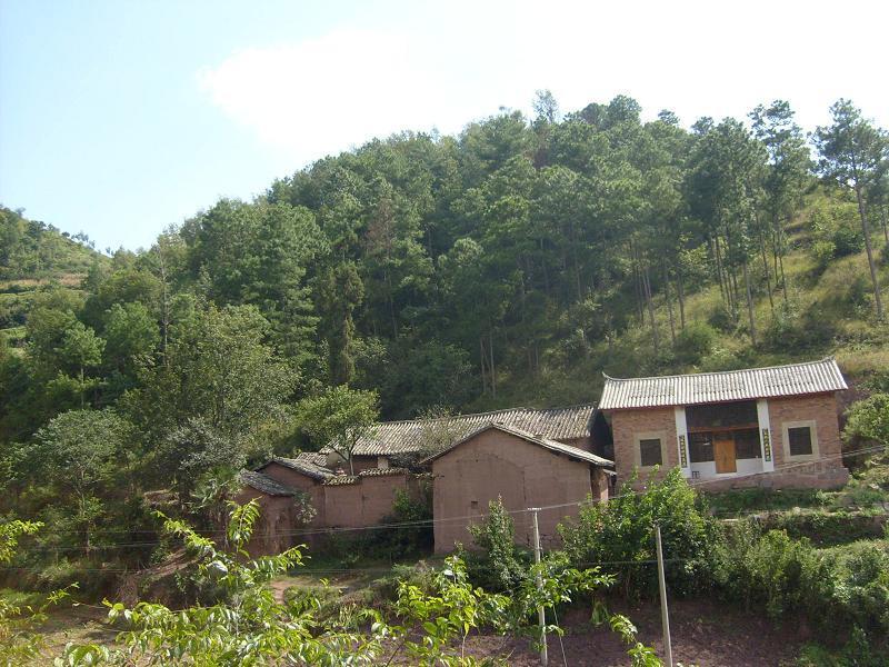 郑家村 (行政区划)