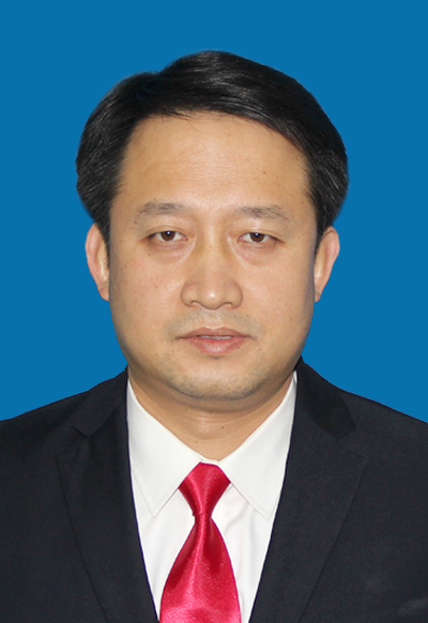 拓巍峰(政治人物)