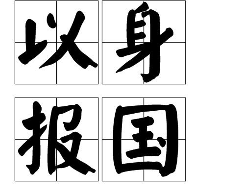 以身报国 (成语|词汇)