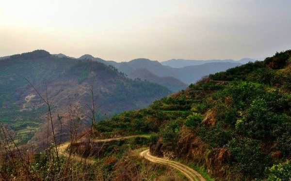 沙坪村(行政区划)沙坪村属于山区.距离村委会0.00公里,距离镇13.