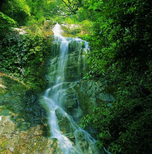 常山黄岗山风景区图片