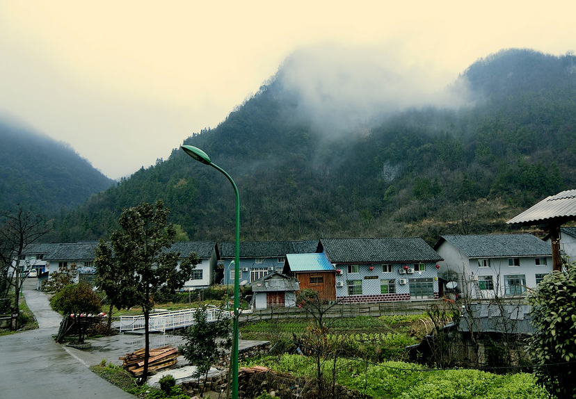 下坪村 (行政区划)