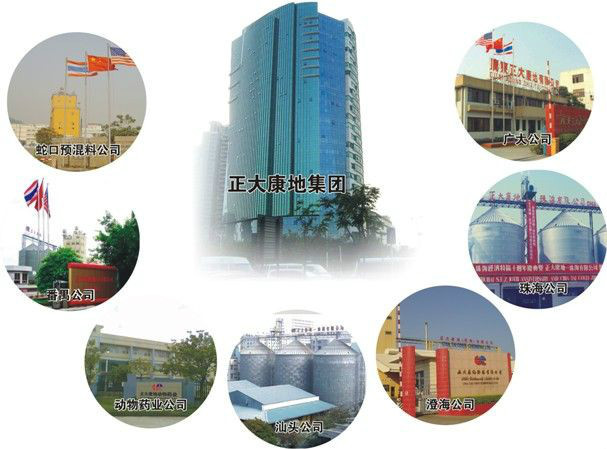 正大康地集团(公司)