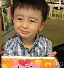 谢振南 (社会人物)