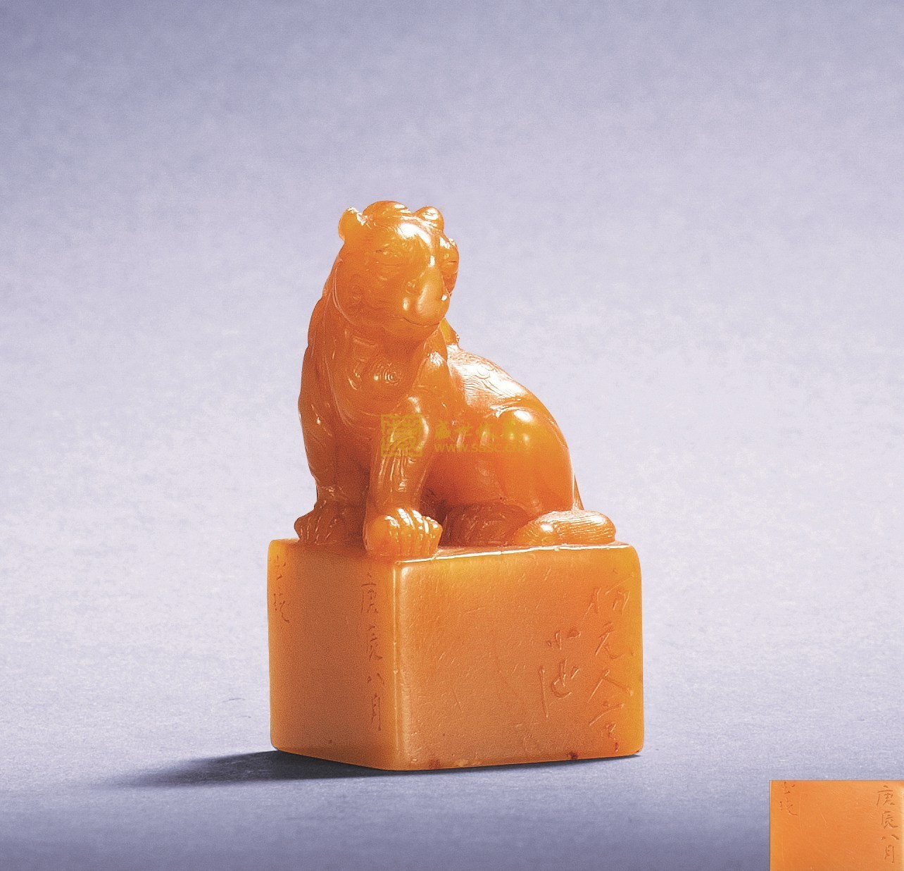 杨玉璇(其他人物相关)