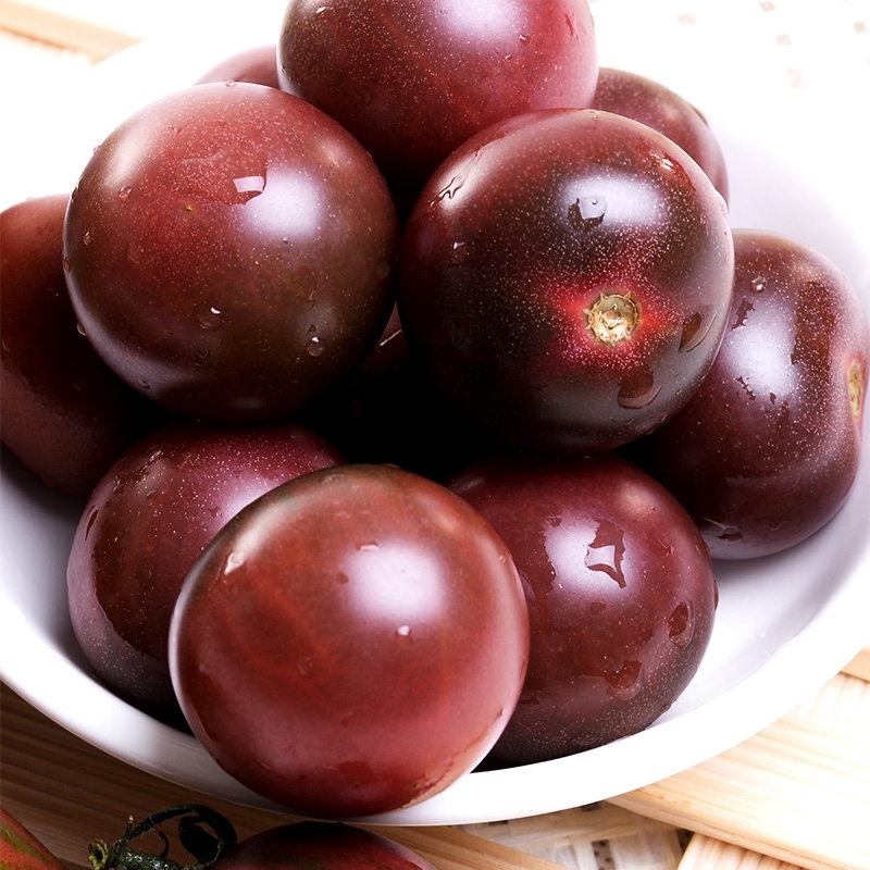 紫番茄(其他生物相关)