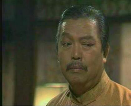 聂人王(其他人物相关)聂人王是tvb电视剧《上海滩》黑白两道的重要