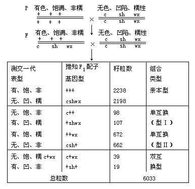 三点测交(其他生物学相关)三点测交是利用三杂合