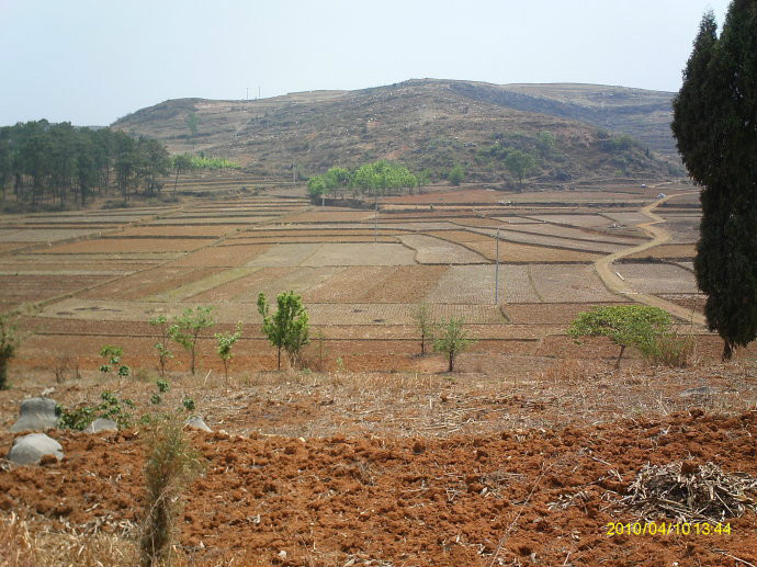 新桥镇 (行政区划)