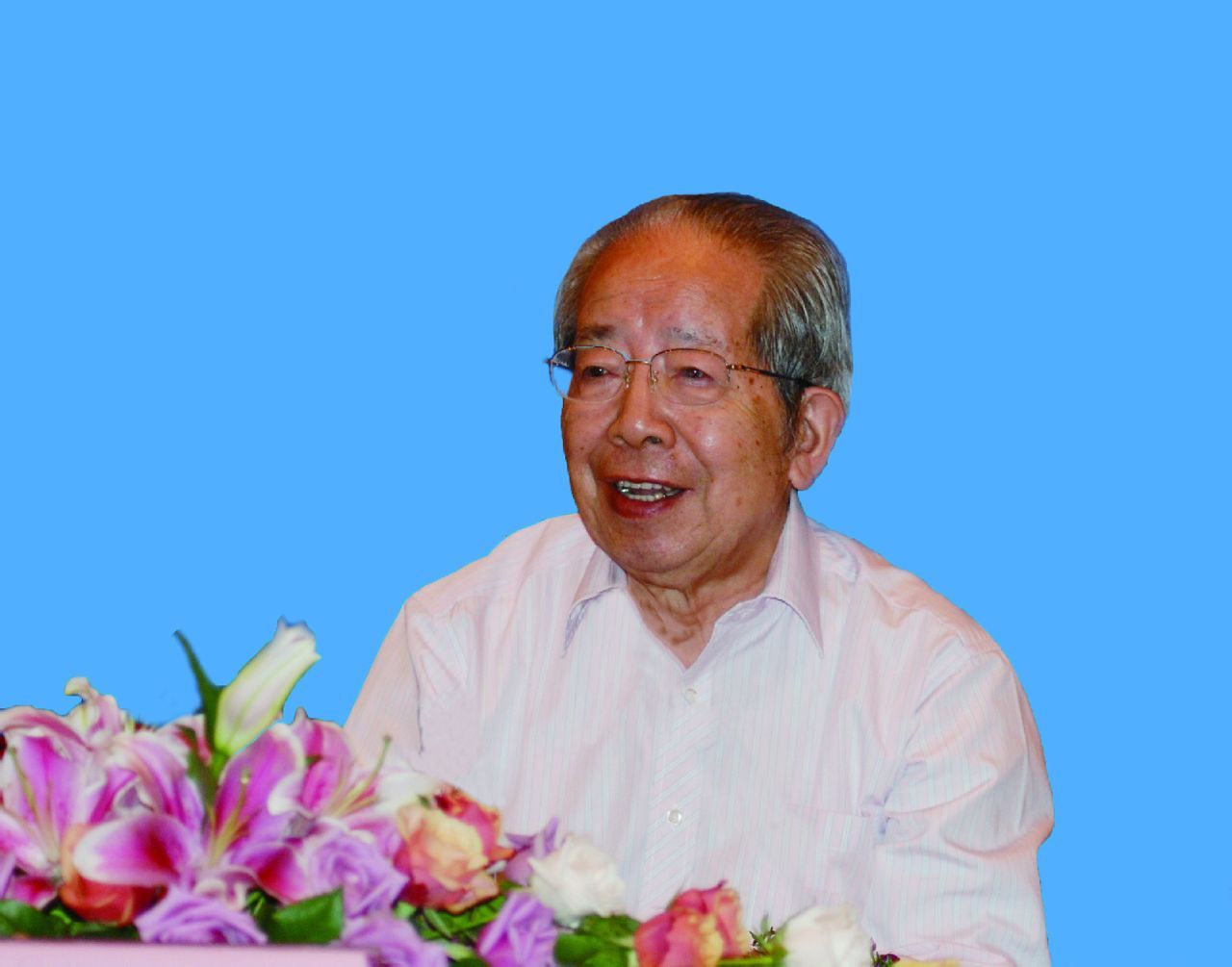 胡平 (政治人物)