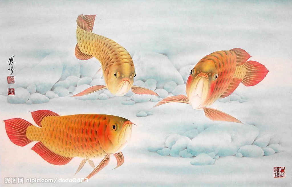 金鱼 (其他人物相关)