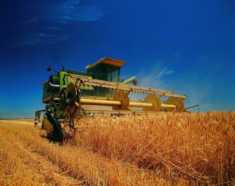 简述农业社会化服务与农业适度规模经营的好处