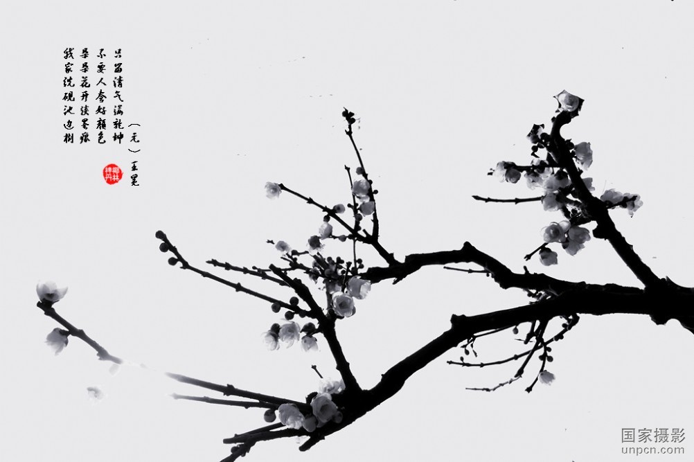 墨梅加载更多领域提 交词条 主页》词条 科普》词条 事件》词条 题库