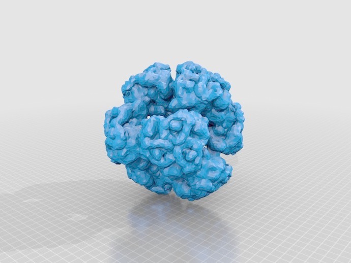 物(分子生物学)丙酮酸脱氢酶复合物(pyruvatedehydrogenasecomplex,p