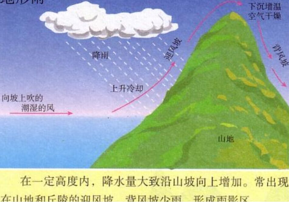 地形雨(植物)