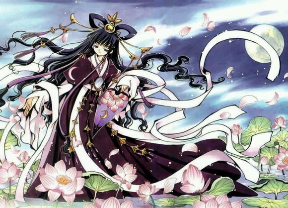 白鹭城的公主,也是日本国的公主.