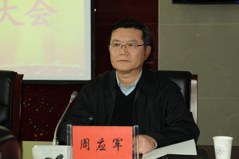 周应军政治人物