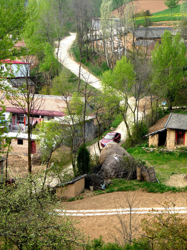 王沟村(行政区划)王沟村位于南长山镇北部东侧.