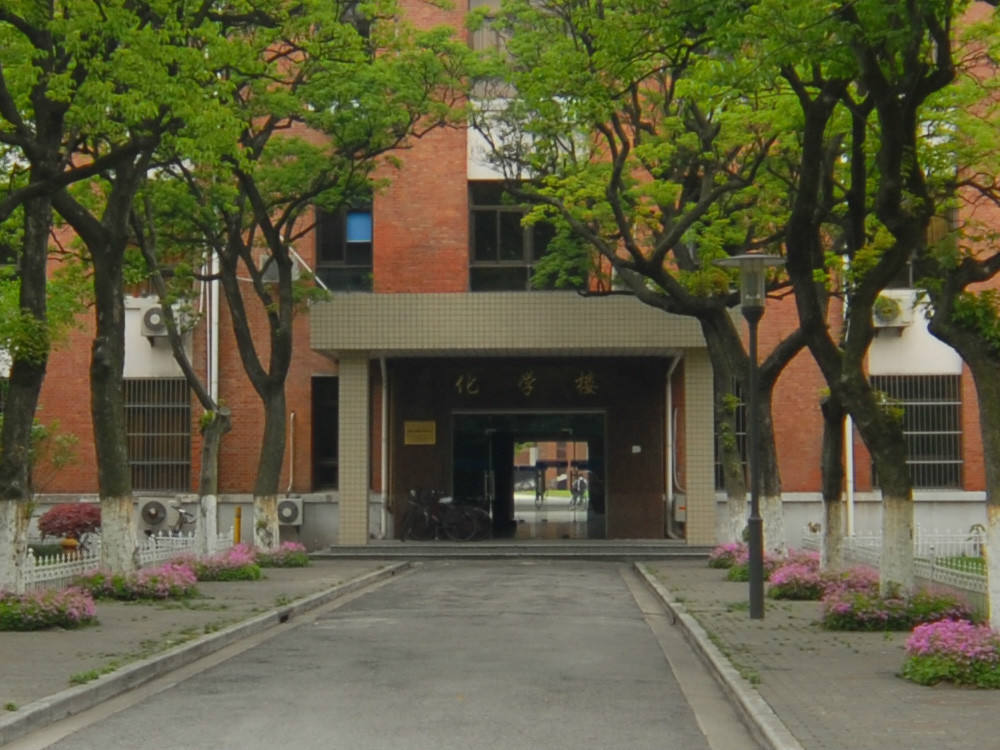 复旦大学化学系(学校)