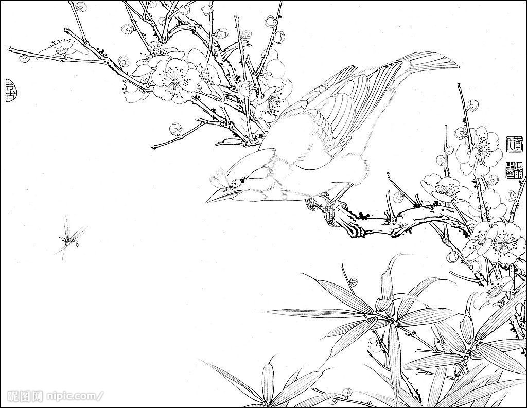 白描(其他文学相关)