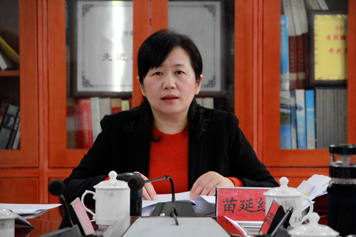 苗延红政治人物