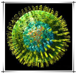 劳氏肉瘤病毒(病毒)