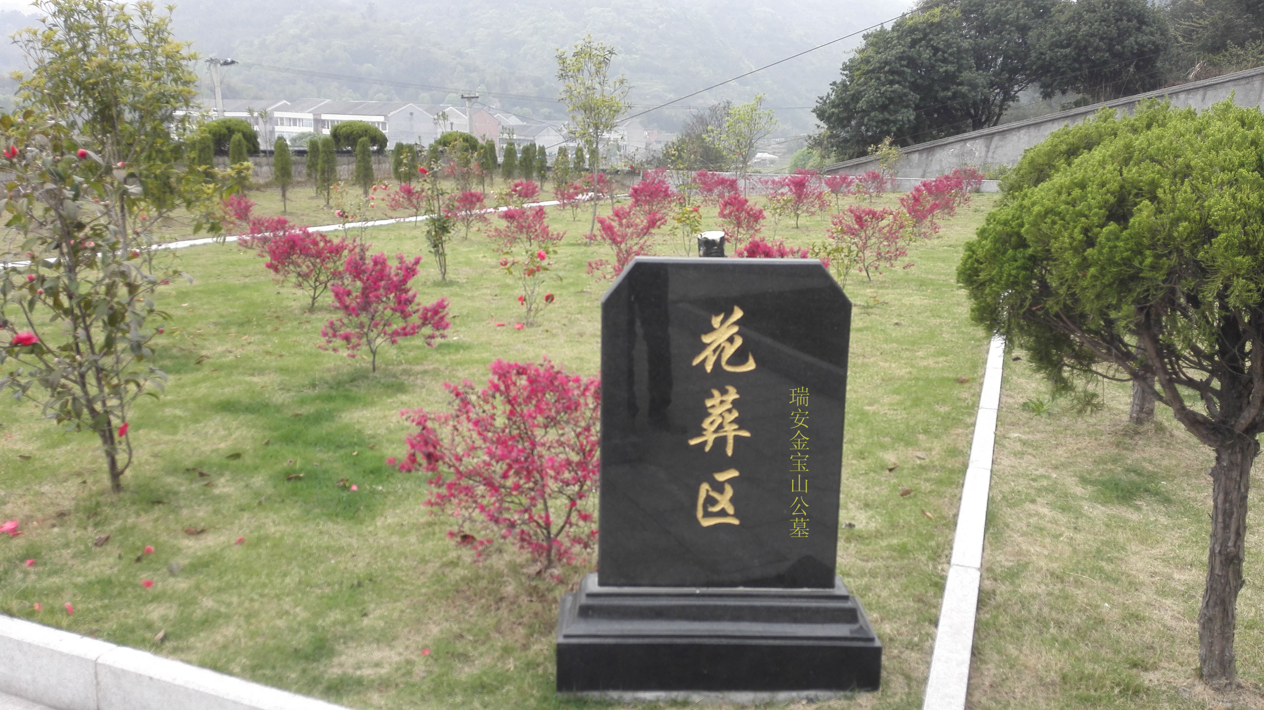 为东坡家族守墓40年 农民“土专家”把三苏文章变成白话文 | 极目新闻