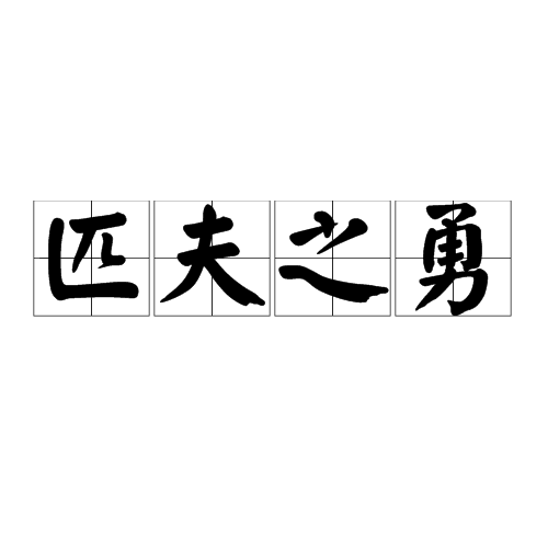 匹夫之勇(成语)