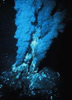 热泉生态系统(其他生物学相关)