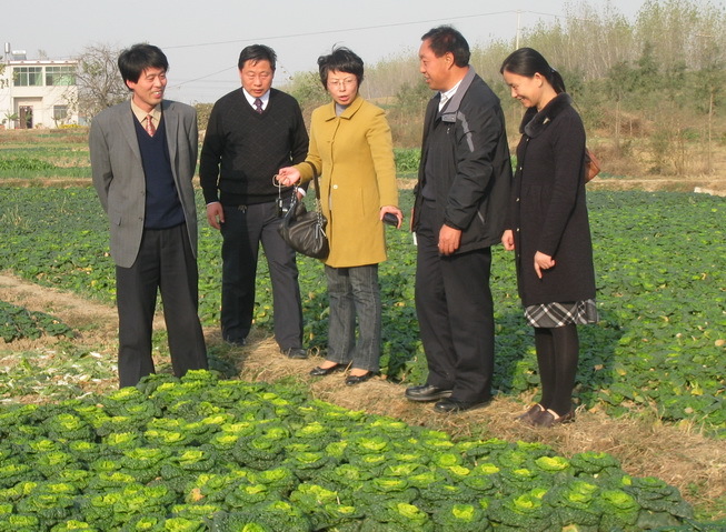 孙日飞(其他实业人物相关)