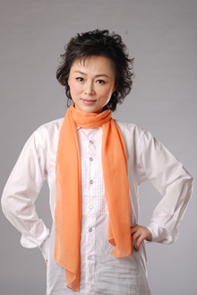 刘海燕 (主持人)