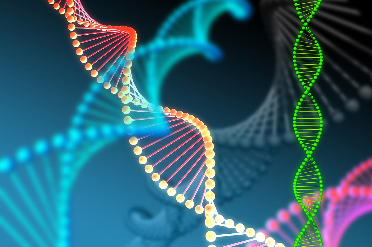 dna序列 (分子生物学)