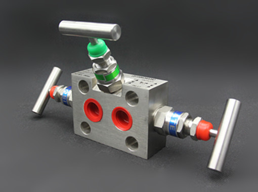 一体化三阀组 (公司)