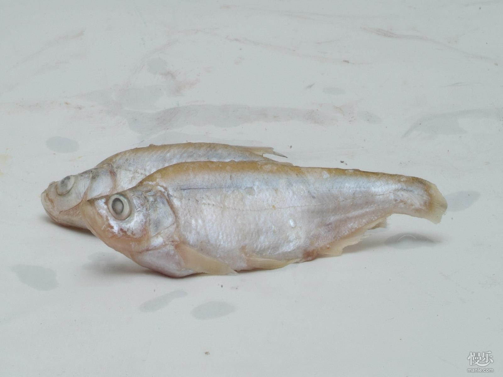 海鲜美食深海鳕鱼切片|摄影|产品摄影|斯巴达三百美工 - 原创作品 - 站酷 (ZCOOL)