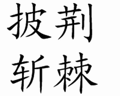 成語,作謂語,賓語,狀語身處荊棘之中,仍舊努力前行